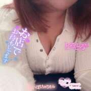 ヒメ日記 2025/11/25 15:15 投稿 さり ぽちゃLOVE(サンライズグループ)