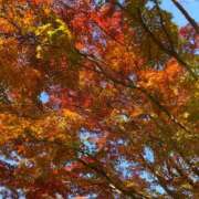 ヒメ日記 2025/11/24 15:32 投稿 みのり【激カワ童顔G乳】 STELLA TOKYO－ステラトウキョウ－