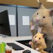 ヒメ日記 2026/02/05 01:02 投稿 みのり【激カワ童顔G乳】 STELLA TOKYO－ステラトウキョウ－