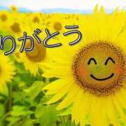 ヒメ日記 2025/09/04 15:04 投稿 熟女 あい ハナミズキ