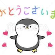 ヒメ日記 2025/09/08 20:26 投稿 熟女 あい ハナミズキ