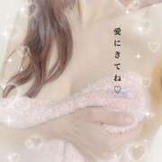 ヒメ日記 2025/10/24 10:46 投稿 熟女 あい ハナミズキ