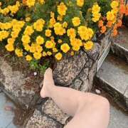 ヒメ日記 2025/10/25 11:14 投稿 熟女 あい ハナミズキ