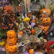 ヒメ日記 2025/11/01 17:26 投稿 熟女 あい ハナミズキ