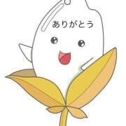 ヒメ日記 2025/11/07 15:00 投稿 熟女 あい ハナミズキ