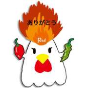 ヒメ日記 2025/11/07 16:06 投稿 熟女 あい ハナミズキ