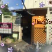 ヒメ日記 2025/11/07 16:26 投稿 熟女 あい ハナミズキ