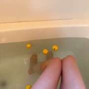 ヒメ日記 2025/12/22 10:52 投稿 熟女 あい ハナミズキ