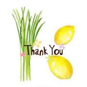 ヒメ日記 2025/12/24 00:28 投稿 熟女 あい ハナミズキ