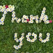 ヒメ日記 2026/01/02 20:44 投稿 熟女 あい ハナミズキ