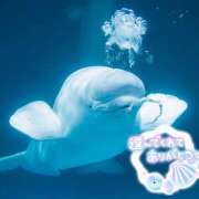 ヒメ日記 2026/03/04 23:34 投稿 熟女 あい ハナミズキ