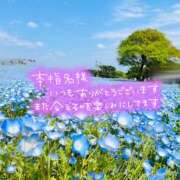 ヒメ日記 2026/03/05 13:24 投稿 熟女 あい ハナミズキ