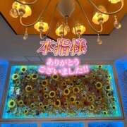 ヒメ日記 2026/03/15 14:00 投稿 熟女 あい ハナミズキ