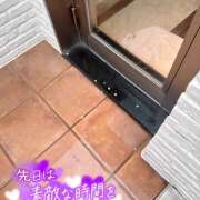 ヒメ日記 2026/04/17 09:48 投稿 熟女 あい ハナミズキ