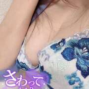 ヒメ日記 2026/05/09 11:52 投稿 熟女 あい ハナミズキ