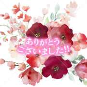 ヒメ日記 2026/06/10 11:36 投稿 熟女 あい ハナミズキ
