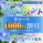 ヒメ日記 2026/07/09 11:46 投稿 熟女 あい ハナミズキ