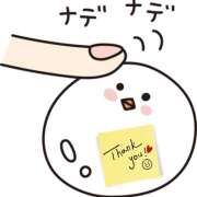 熟女 あい 16日(日) 12時20分様へのお礼 ハナミズキ