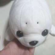 ヒメ日記 2025/09/03 22:15 投稿 かすみ 小田原人妻城