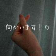 ヒメ日記 2025/09/09 17:55 投稿 かすみ 小田原人妻城