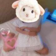 ヒメ日記 2025/09/15 14:39 投稿 かすみ 小田原人妻城