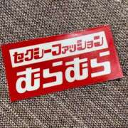 ヒメ日記 2025/10/29 10:17 投稿 ゆの 奈良市ちゃんこ