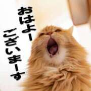 ヒメ日記 2026/02/18 11:03 投稿 ゆの 奈良市ちゃんこ