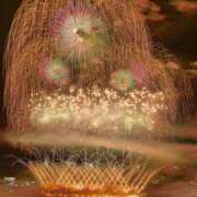 ヒメ日記 2025/11/11 06:45 投稿 きほ♡圧倒的透明感の美女 ジャックと豆の木