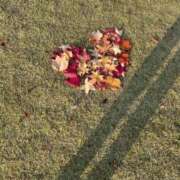 ヒメ日記 2025/11/24 22:16 投稿 きほ♡圧倒的透明感の美女 ジャックと豆の木