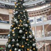 ヒメ日記 2025/12/17 13:00 投稿 きほ♡圧倒的透明感の美女 ジャックと豆の木