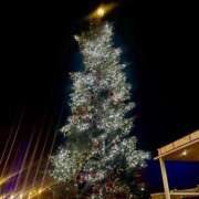 ヒメ日記 2025/12/19 08:28 投稿 きほ♡圧倒的透明感の美女 ジャックと豆の木