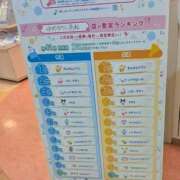 ヒメ日記 2026/05/25 07:49 投稿 きほ♡圧倒的透明感の美女 ジャックと豆の木
