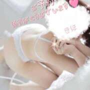 ヒメ日記 2026/06/29 13:40 投稿 きほ♡圧倒的透明感の美女 ジャックと豆の木