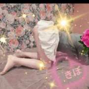 ヒメ日記 2026/07/28 06:44 投稿 きほ♡圧倒的透明感の美女 ジャックと豆の木