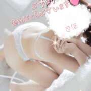 ヒメ日記 2026/08/31 11:37 投稿 きほ♡圧倒的透明感の美女 ジャックと豆の木