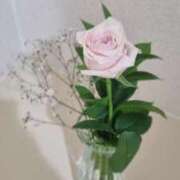 ヒメ日記 2025/10/28 13:51 投稿 葵　ふうか ナディア（奈良）