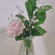 ヒメ日記 2025/10/30 12:31 投稿 葵　ふうか ナディア（奈良）