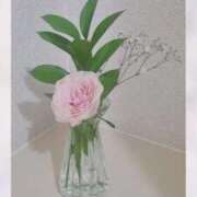 ヒメ日記 2025/10/31 08:01 投稿 葵　ふうか ナディア（奈良）