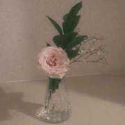 ヒメ日記 2025/11/01 11:21 投稿 葵　ふうか ナディア（奈良）