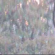 ヒメ日記 2025/11/01 17:51 投稿 葵　ふうか ナディア（奈良）