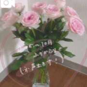 ヒメ日記 2025/11/07 10:02 投稿 葵　ふうか ナディア（奈良）