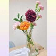 ヒメ日記 2025/11/11 16:31 投稿 葵　ふうか ナディア（奈良）