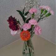 ヒメ日記 2025/11/19 12:21 投稿 葵　ふうか ナディア（奈良）