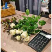 ヒメ日記 2025/11/23 15:21 投稿 葵　ふうか ナディア（奈良）