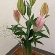 葵　ふうか 上品未満🪽 ナディア（奈良）