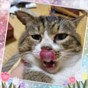 ヒメ日記 2025/11/02 21:40 投稿 小林紀香 五十路マダム富山店(カサブランカグループ)