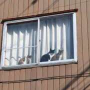 ヒメ日記 2025/11/06 02:32 投稿 小林紀香 五十路マダム富山店(カサブランカグループ)