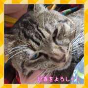 ヒメ日記 2025/11/08 08:18 投稿 小林紀香 五十路マダム富山店(カサブランカグループ)