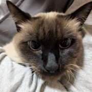 ヒメ日記 2025/11/12 14:30 投稿 小林紀香 五十路マダム富山店(カサブランカグループ)