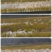 ヒメ日記 2025/12/02 15:20 投稿 小林紀香 五十路マダム富山店(カサブランカグループ)